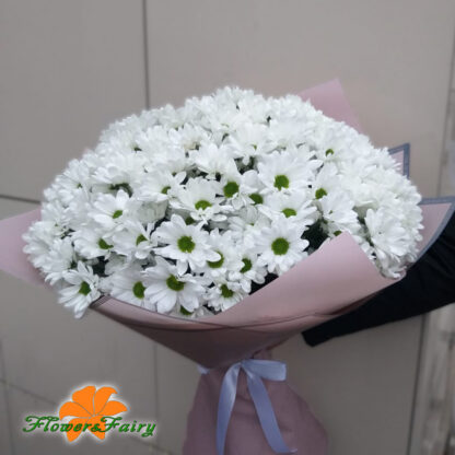 Букет из 25 белых кустовых хризантем в Курске